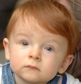581px-Redheaded child mesmerized 2.jpg